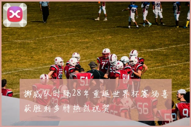 挪威队时隔28年重返世界杯赛场喜获胜利多特热烈祝贺