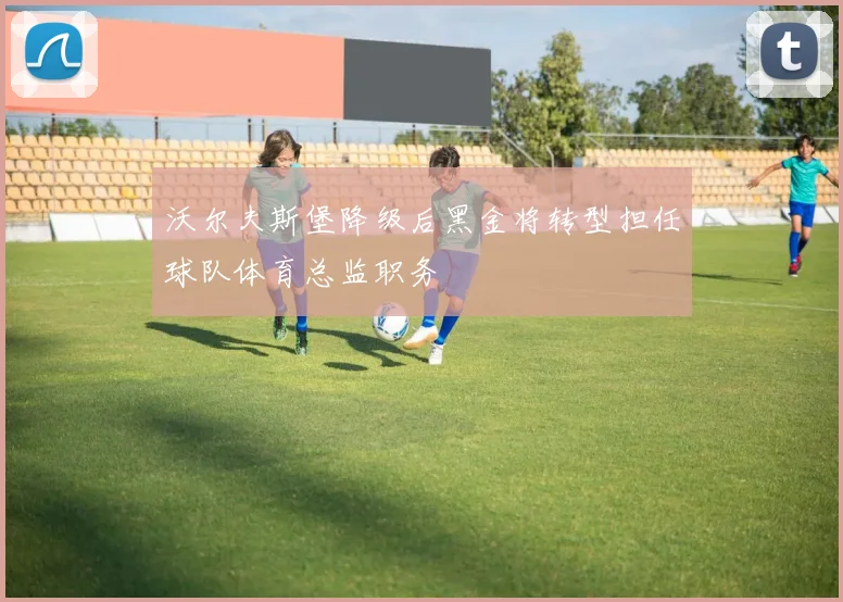 沃尔夫斯堡降级后黑金将转型担任球队体育总监职务